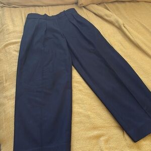Aritzia Babaton Inbound Pants / Black / Size 4